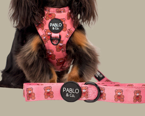Pablo & Co. TEDDIES Dog Leash